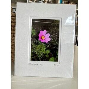 Original Photography 5X7 Picture Double Matted For 8X10 Frame